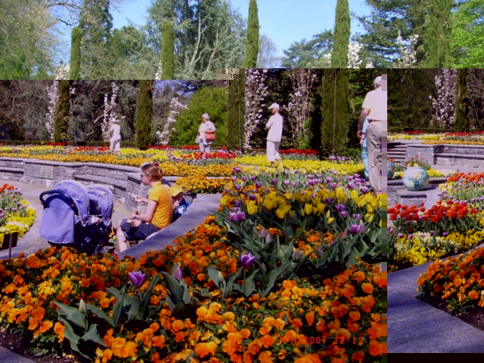 ドイツ旅行ガイドマイナウ島挙式専用車